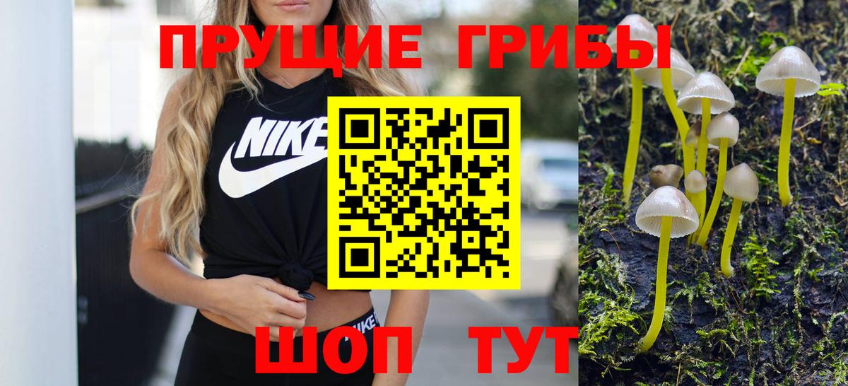 Гатчина  Галлюциногенные грибы Magic Shrooms  Вход с VPN  Псилоцибиновые грибы Magic Shrooms 