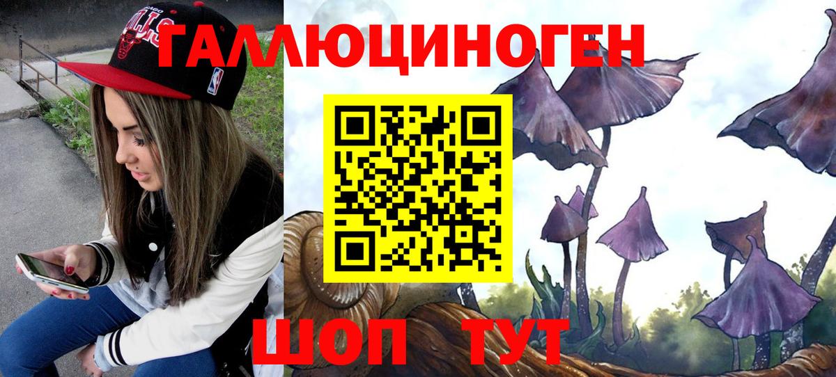 Галлюциногенные грибы ЛСД Гатчина