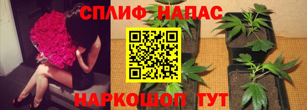 Канабис Bruce Banner  Бошки Шишки конопля  Гатчина  Вход с VPN  Бошки марихуана конопля  Бошки Шишки White Widow 